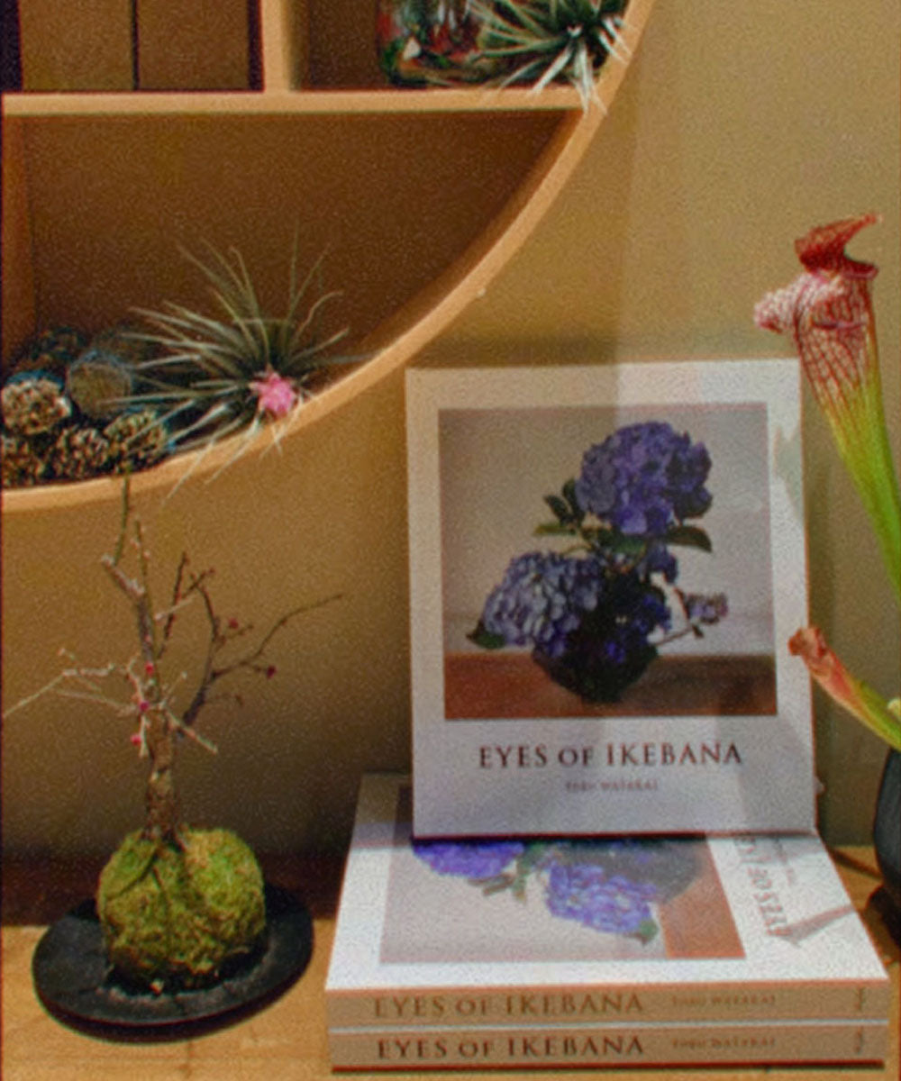 【Ethical Sale】Eyes Of Ikebana