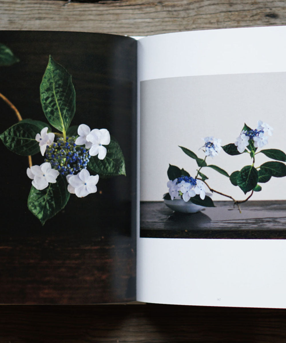 【Ethical Sale】Eyes Of Ikebana