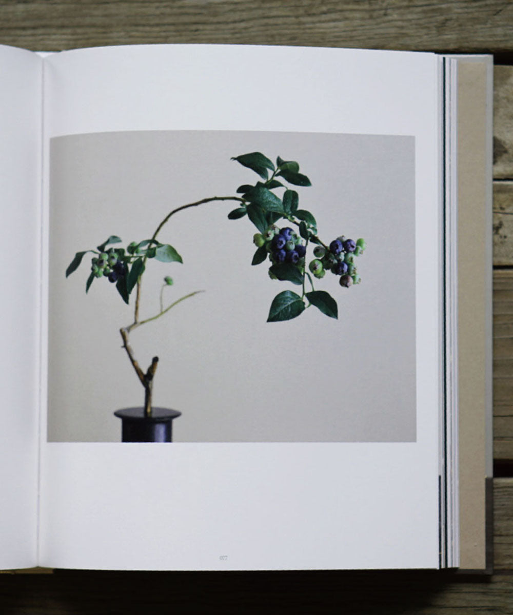 【Ethical Sale】Eyes Of Ikebana